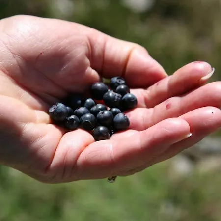 Lejlighed T3 - Proche Piste - Depart Randonnees *