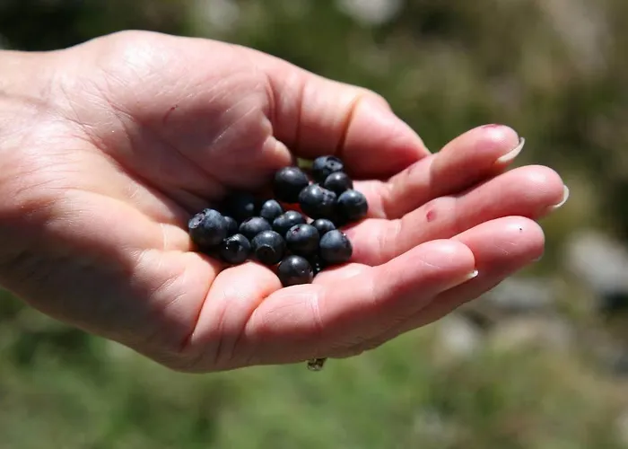 Lejlighed T3 - Proche Piste - Depart Randonnees *